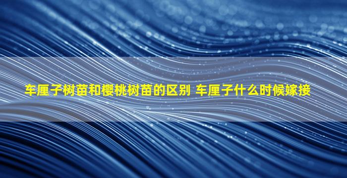 车厘子树苗和樱桃树苗的区别 车厘子什么时候嫁接